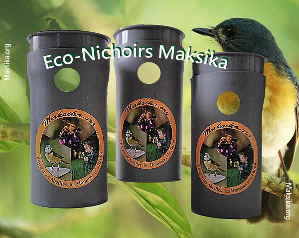 Eco-Nichoirs®, lutte bio-inspirée de lutte contre le felon asiatique