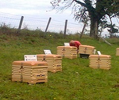 formation apiculture sur ruche pédagogique connectee